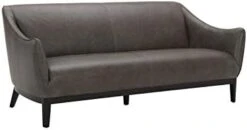 Amazon Brand – Rivet Bayard Contemporary Leather Accent Chair With Curved Armrests, 33.5"W, Cognac -Safavieh Furnitue Shop 314F0ax2SML. AC