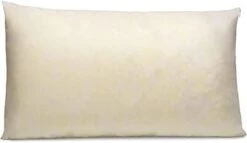 Jaxx Premium Grade Shredded Foam Filling - Refill For Pillows, Bean Bag Chairs, Dog Beds, And Cushions, 5 Lb -Safavieh Furnitue Shop 31KR3oeBWgL. AC