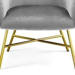 Topeakmart Modern Accent Barrel Chair Living Room Chair Velvet Accent Armchair With Metal Legs For Living Room Bedroom Home Office Grey -Safavieh Furnitue Shop 41Wn5DXQ0ZL