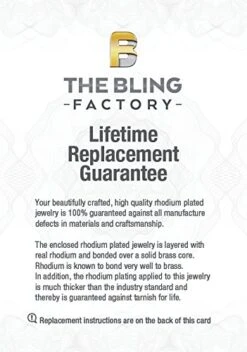 The Bling Factory Rhodium Plated Micro-Pave Iced Out Cubic Zirconia Hip Hop Ring + Microfiber Cloth -Safavieh Furnitue Shop 515RGPeOKCL