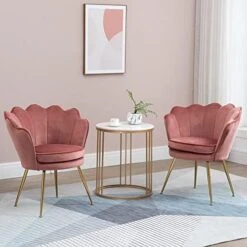 ZJhome Modern Accent Velvet Chairs Set Of 2 Comfy Upholstered Vanity Chairs For Bedroom Shell-Shaped Armchair Dining Chairs With Golden Metal Legs Desk Chair Makeup Chairs For Living Room(Beige) -Safavieh Furnitue Shop 51RtNlwN5RL. AC