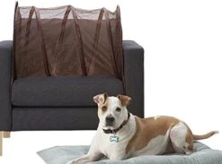 Chair Defender: Keep Pets Off Of Your Furniture! (Dark Brown) Chair Defender -Safavieh Furnitue Shop 51dDgEEeL. AC