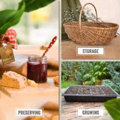 Nutley's 66 X 116cm Extra Large Hessian Potato And Vegetable Sack -Safavieh Furnitue Shop 61xihNPvKDL